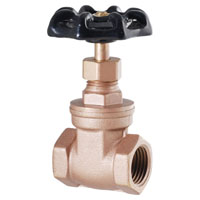 LDR Industries IPS Gate Valve 1